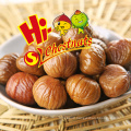 Packaged Roasted Chestnut Kernel Healthy Nuts Snacks 100% Organic Kuancheng Chestnuts--the Best Chinese Chestnuts Species Dried